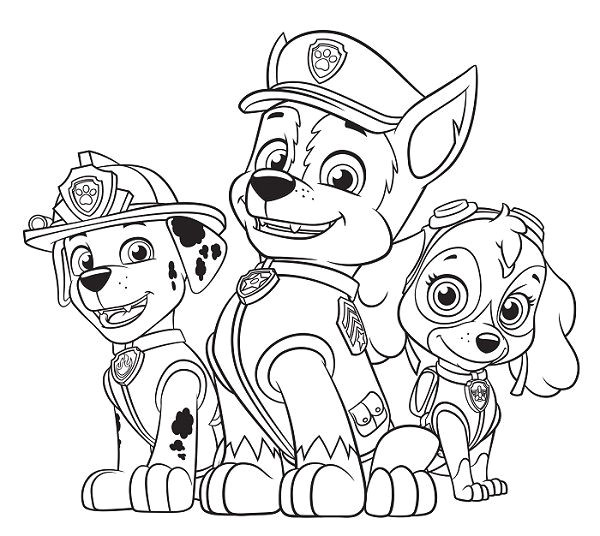 Pat Patrouille Stella Coloriage 126 Best Dessins Pat Patrouille Et Autre Dessin Animé