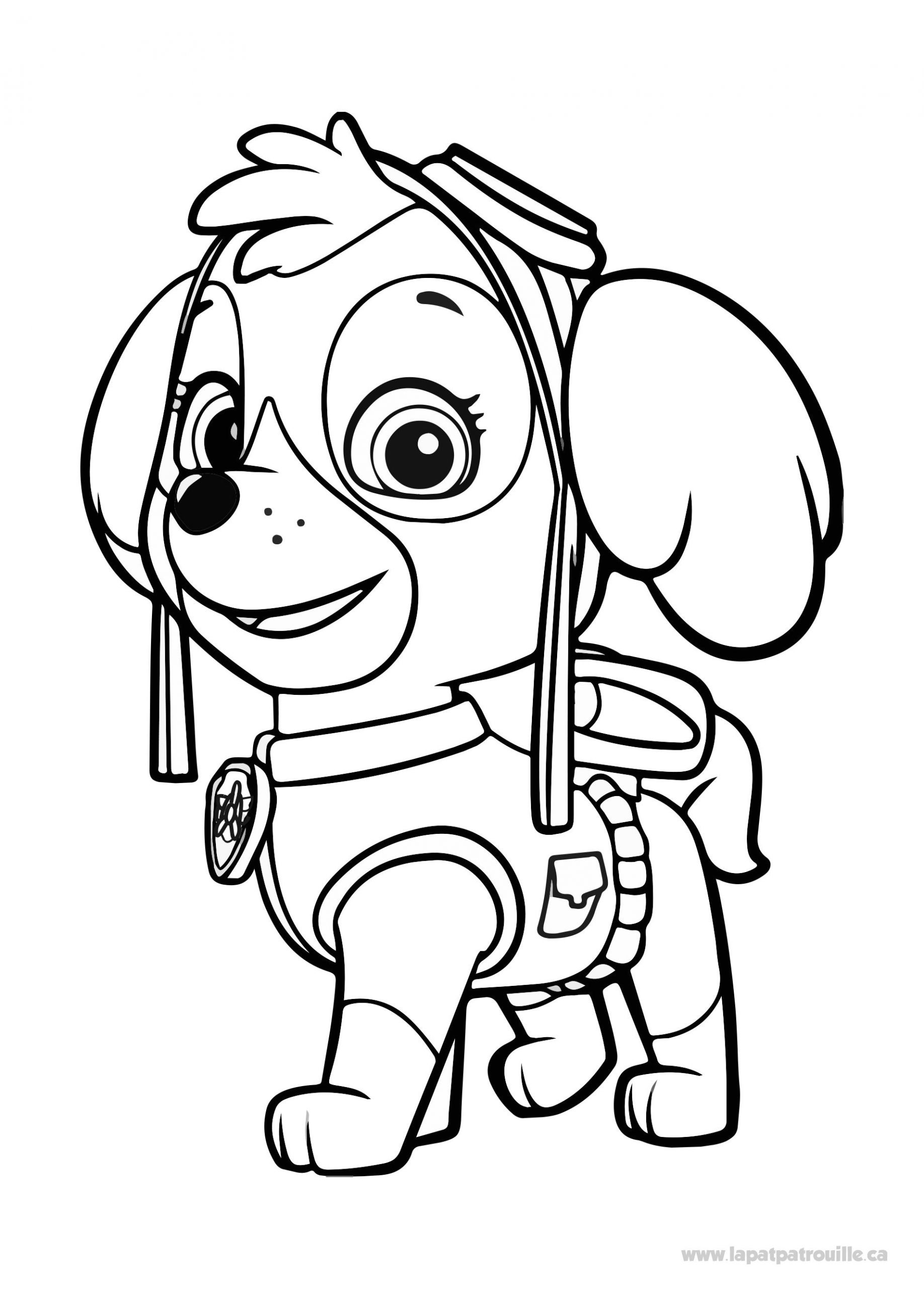 Pat Patrouille Stella Coloriage Coloriage De Stella à Colorier – La Pat Patrouille