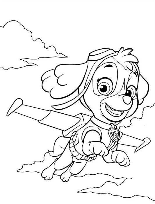 Pat Patrouille Stella Coloriage Coloriage Et Dessins Pat Patrouille Ou Paw Patrol