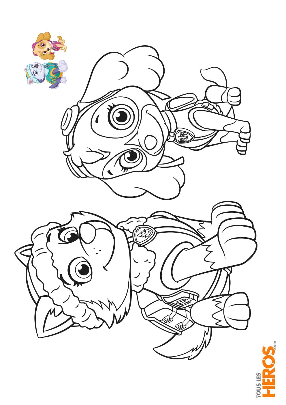 Pat Patrouille Stella Coloriage Coloriage Pat Patrouille à Télécharger Gratuitement