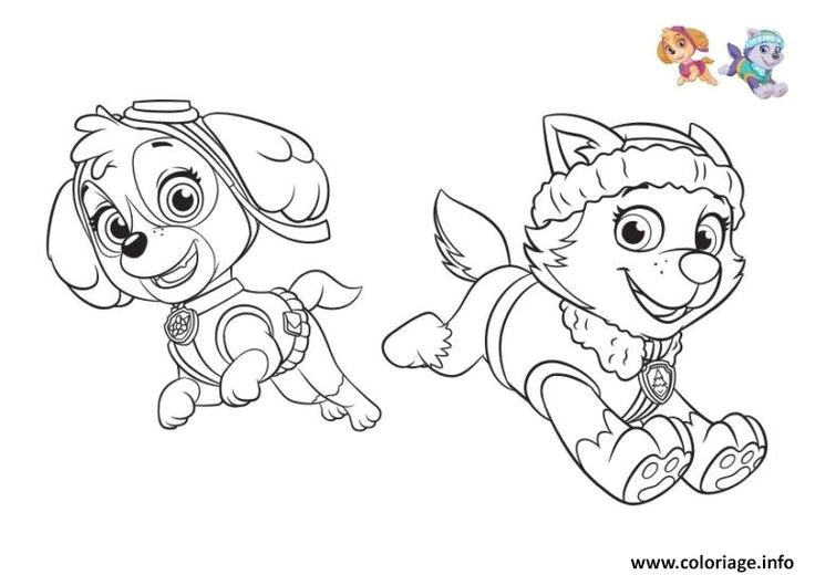 Pat Patrouille Stella Coloriage Coloriage Pat Patrouille Everest Et Stella Colorier Dessin