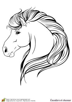Pet Shop Cheval Coloriage 15 Meilleures Images Du Tableau Dessin Tete De Cheval
