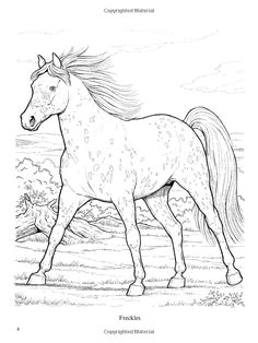 Pet Shop Cheval Coloriage Coloriage Chevaux