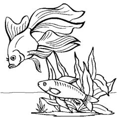 Poisson Rouge Jeux Gratuit Coloriage 26 Meilleures Images Du Tableau Petit Poisson Rouge