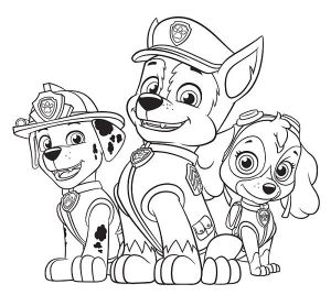 Stella Pat Patrouille Coloriage Coloriage Et Dessin Pat Patrouille Coloriage De Chase