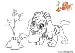 Stella Pat Patrouille Coloriage Coloriage Pat Patrouille Stella Colorier 2 Fleurs