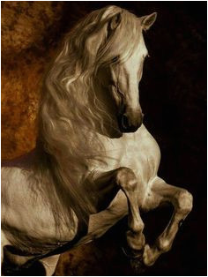 Tête De Cheval Coloriage Les 3352 Meilleures Images De Cheval