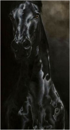 Tête De Cheval Coloriage Les 3352 Meilleures Images De Cheval Tête De Cheval Coloriage Les 3352 Meilleures Images De Cheval