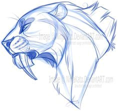 Tigre A Dent De Sabre Coloriage 38 Best Dinosaur Era Images Tigre A Dent De Sabre Coloriage 38 Best Dinosaur Era Images