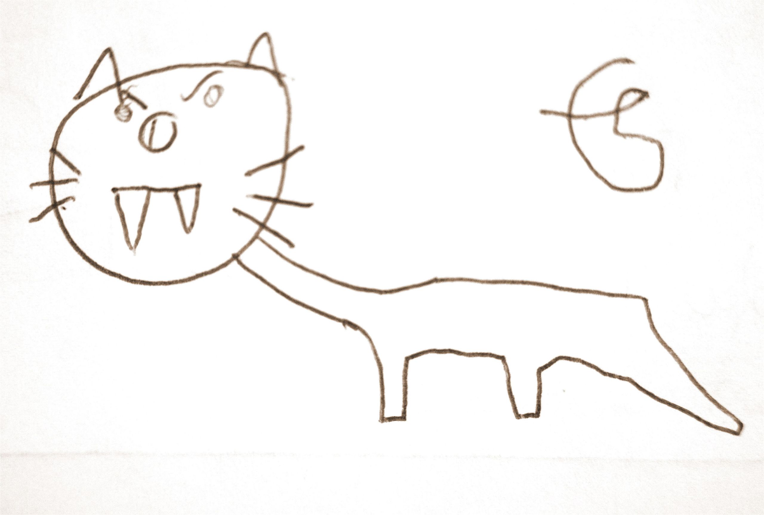 Tigre A Dent De Sabre Coloriage Les 14 Meilleures Images De Dessins D Enfants Children S