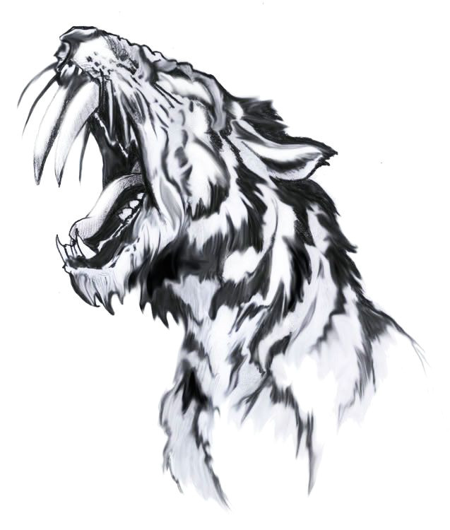 Tigre A Dent De Sabre Coloriage Pin About Tiger Tattoo On Cool Tattoo for Friends In 2020 Tigre A Dent De Sabre Coloriage Pin About Tiger Tattoo On Cool Tattoo for Friends In 2020
