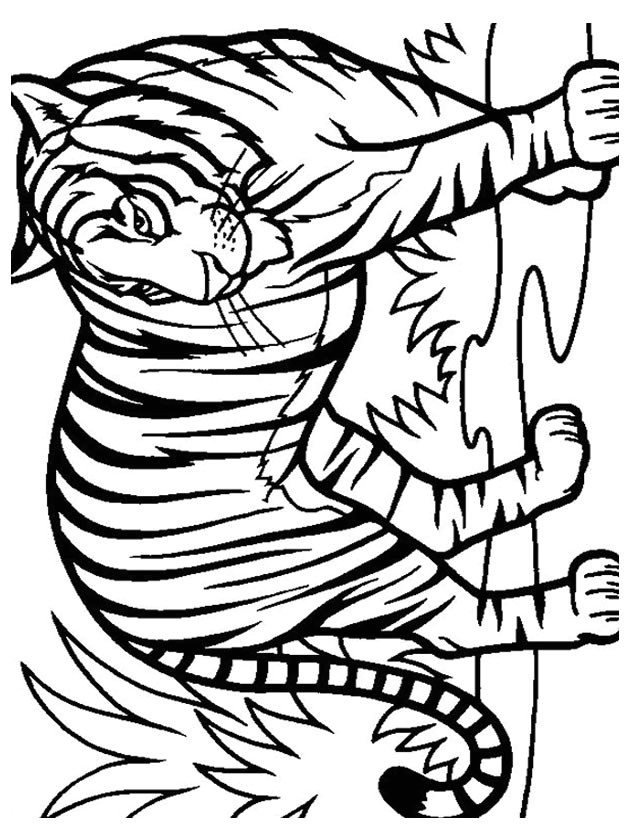 Tigre Coloriage A Imprimer 115 Dessins De Coloriage Tigre à Imprimer