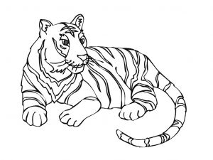 Tigre Coloriage A Imprimer Tiger 16 Animals – Printable Coloring Pages