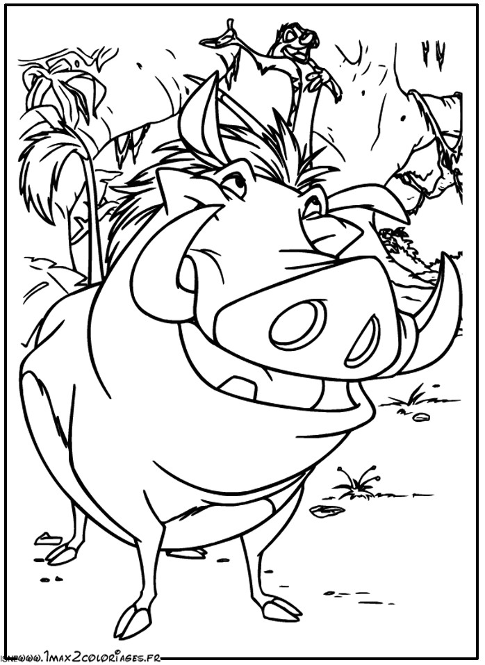 Timon Et Pumba Coloriage 22 Dessins De Coloriage Princesse Fiona   Imprimer