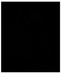 Tous Les Coloriages De Dragon Ball Z Facile Dragon Ball Goku Sur Le Dos Du Dragon Shenron