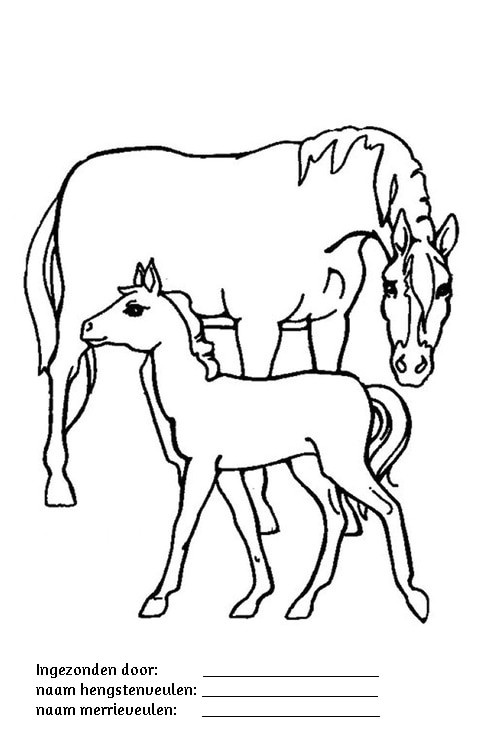 Un Coloriage A Imprimer Kleurplaten Manege Stal T Patersnest