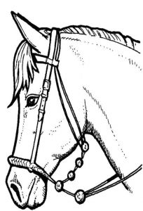 Coloriage à Imprimer Gratuit Cheval Hugo L Escargot Coloriage Hugo L Escargot Cheval – Gratuit Coloriage
