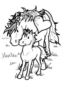 Coloriage à Imprimer Gratuit Cheval Hugo L Escargot Hugo L Escargot Coloriage Cheval