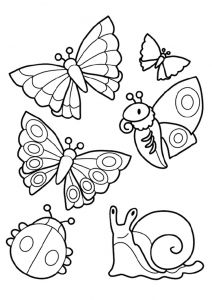 Coloriage Papillon à Imprimer Hugo L Escargot 94 Dessins De Coloriage Papillon Hugo L Escargot à Imprimer