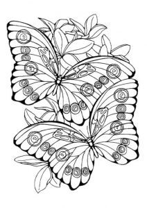 Coloriage Papillon à Imprimer Hugo L Escargot Coloriage Hugo L Escargot Papillon