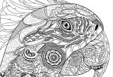 100 Coloriage Anti Stress Pdf Nouveau Bestiaire Extraordinaire 100 Coloriages Anti Stress