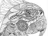 100 Coloriage Anti Stress Pdf Nouveau Bestiaire Extraordinaire 100 Coloriages Anti Stress