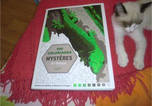 100 Coloriages Mystères Art Thérapie 100 Coloriages Mystères Art Thérapie