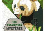 100 Coloriages Mystères Art Thérapie Art Thérapie 100 Coloriages Mystères Livre