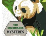 100 Coloriages Mystères Art Thérapie Art Thérapie 100 Coloriages Mystères Livre