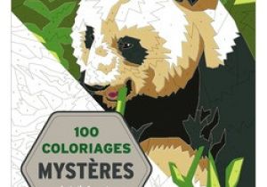 100 Coloriages Mystères Art Thérapie Art Thérapie 100 Coloriages Mystères Livre