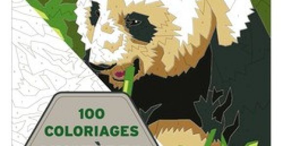 100 Coloriages Mystères Art Thérapie Art Thérapie 100 Coloriages Mystères Livre
