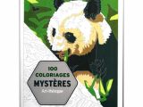 100 Coloriages Mystères Art Thérapie "100 Coloriages Mystères Art Thérapie" De Jérémy Mariez