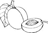 Abricot Coloriage Alperce Coloring Pages Pinterest