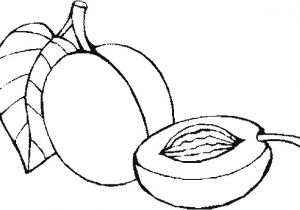 Abricot Coloriage Alperce Coloring Pages Pinterest