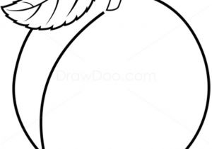 Abricot Coloriage Résultat De Recherche D Images Pour "coloriage Abricot"