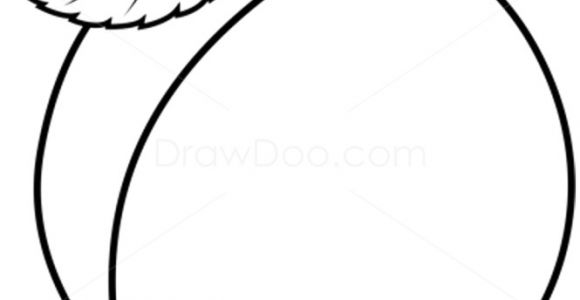 Abricot Coloriage Résultat De Recherche D Images Pour "coloriage Abricot"