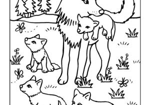 Album Coloriage Enfant 77 Best Coloriages De Bébés Animaux Images On Pinterest