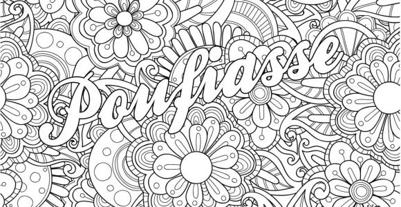 Album De Coloriage Pour Adulte Mon Cahier D Injures   Colorier Premier Livre De Coloriage Pour