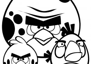 Angry Birds Coloriage Gratuit Angry Birds Coloring Pages