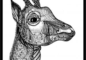 Art Thérapie Coloriage Anti Stress Hachette Dessus Art Thérapie 100 Nouveaux Coloriages Anti Stress