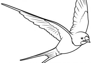 Art Thérapie Coloriage Mystere A Imprimer Dessin   Colorier Une Hirondelle ÐÑÐ¸ÑÑ Ð²ÑÑÐ¸Ð²ÐºÐ°
