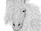 Beau Coloriage De Chevaux Coloriage Chevaux