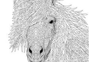 Beau Coloriage De Chevaux Coloriage Chevaux