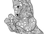 Beau Coloriage De Chevaux Coloriage Coloriage Chevaux