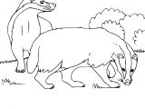 Blaireau Coloriage Coloriage Blaireau Dessin   Imprimer Sur Coloriages Fo