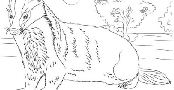 Blaireau Coloriage Coloriage Blaireau