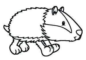 Blaireau Coloriage Coloriage De Blaireau Qui Marche Pour Colorier Nature Coloriages