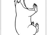 Blaireau Coloriage Coulorage Dessin Et Coloriage De Blaireau   Imprimer