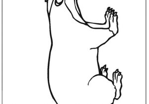 Blaireau Coloriage Coulorage Dessin Et Coloriage De Blaireau   Imprimer