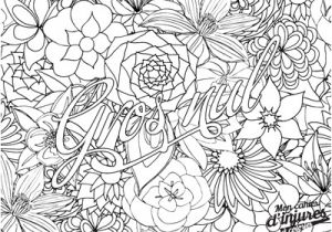 Cahier De Coloriage Adulte Anti Stress Coloriage Anti Stress Insulte